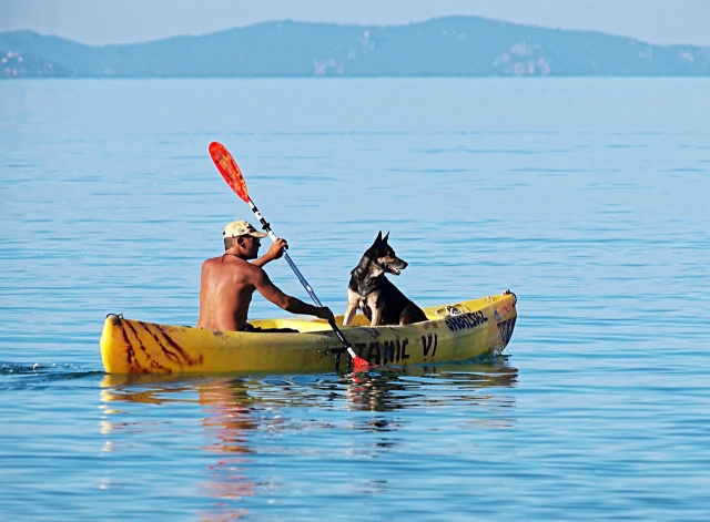  Canoe excursion in the gulf 